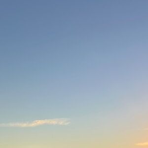 Meet your Posher, Josily